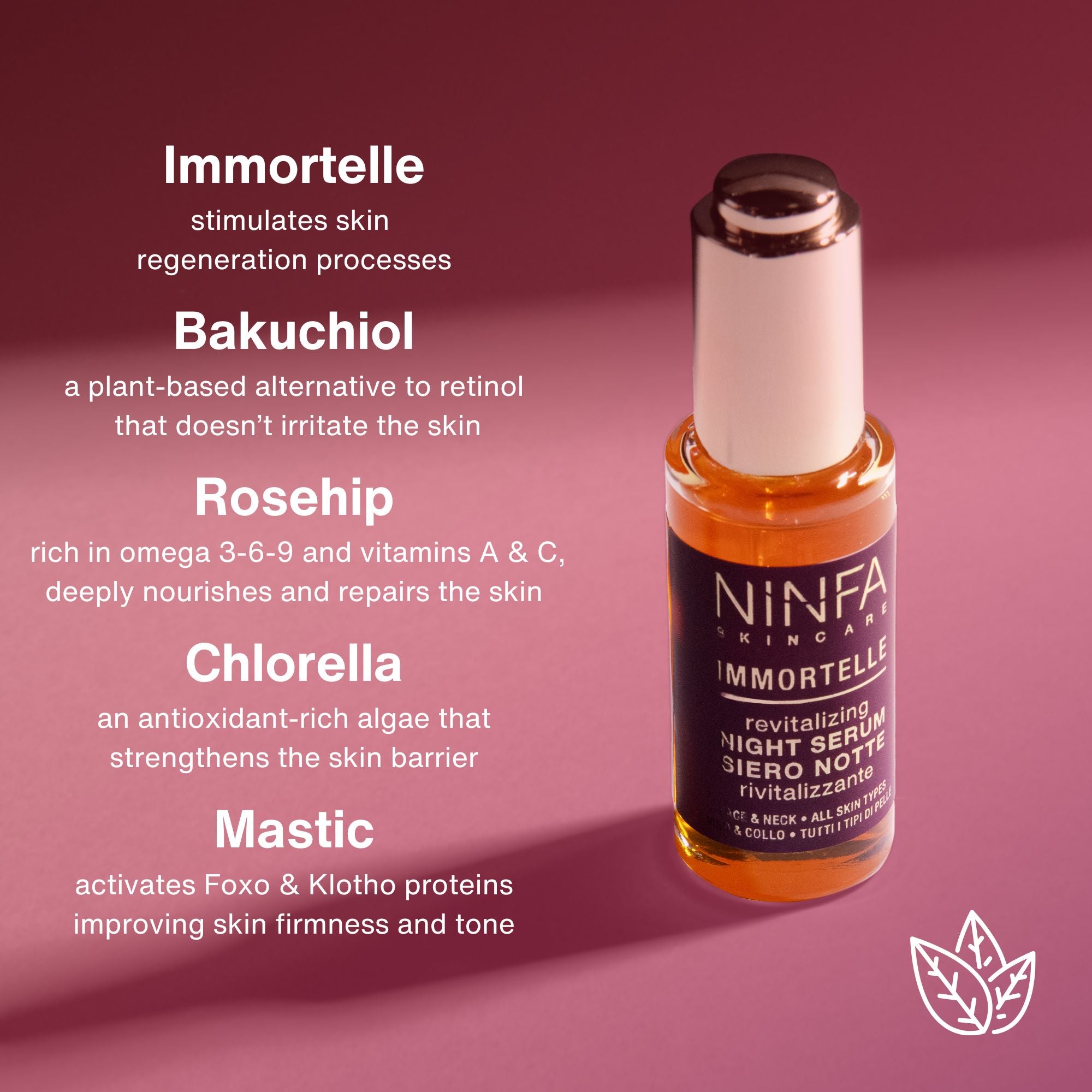 Siero Notte Rivitalizzante Immortelle