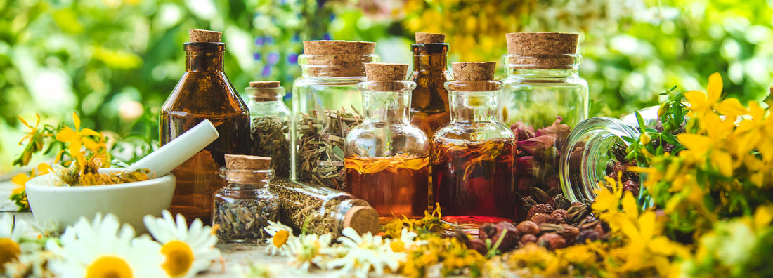 Which Botanical Actives Pair Well with Immortelle in Skincare?