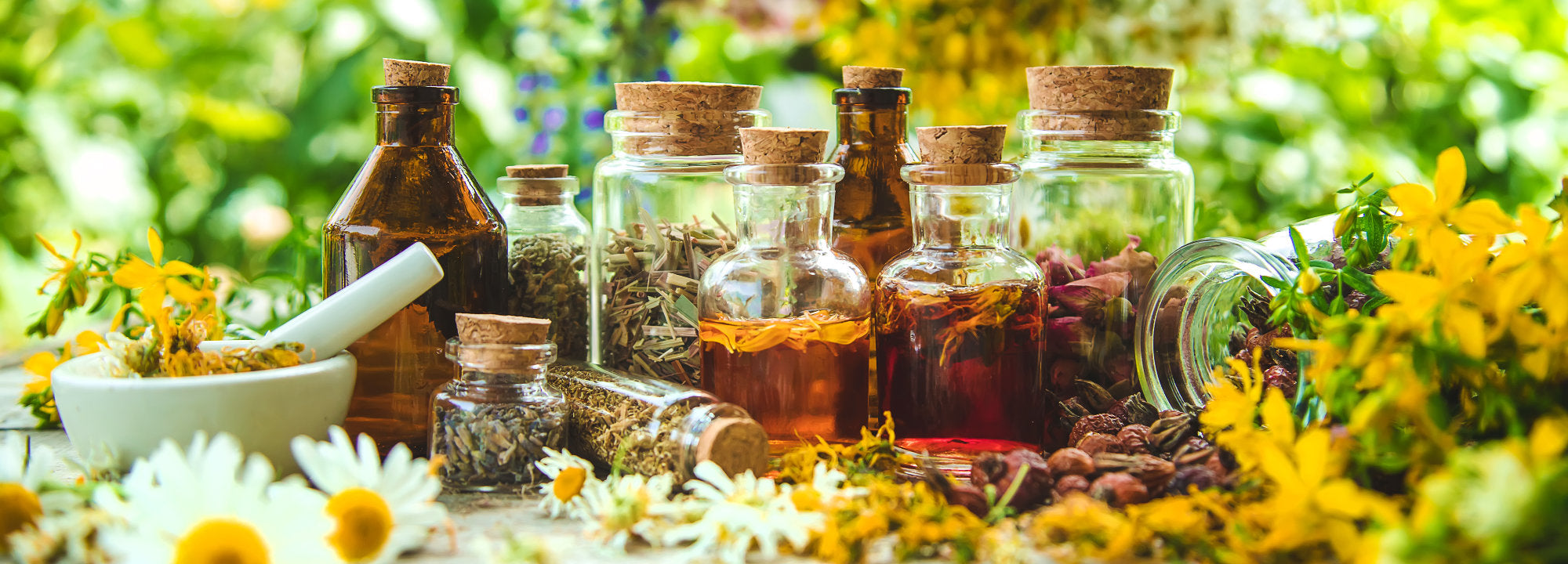 Which Botanical Actives Pair Well with Immortelle in Skincare?