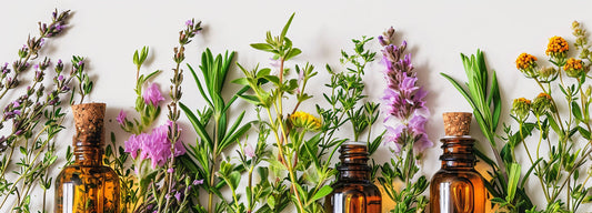 The Power of Nature in Skincare